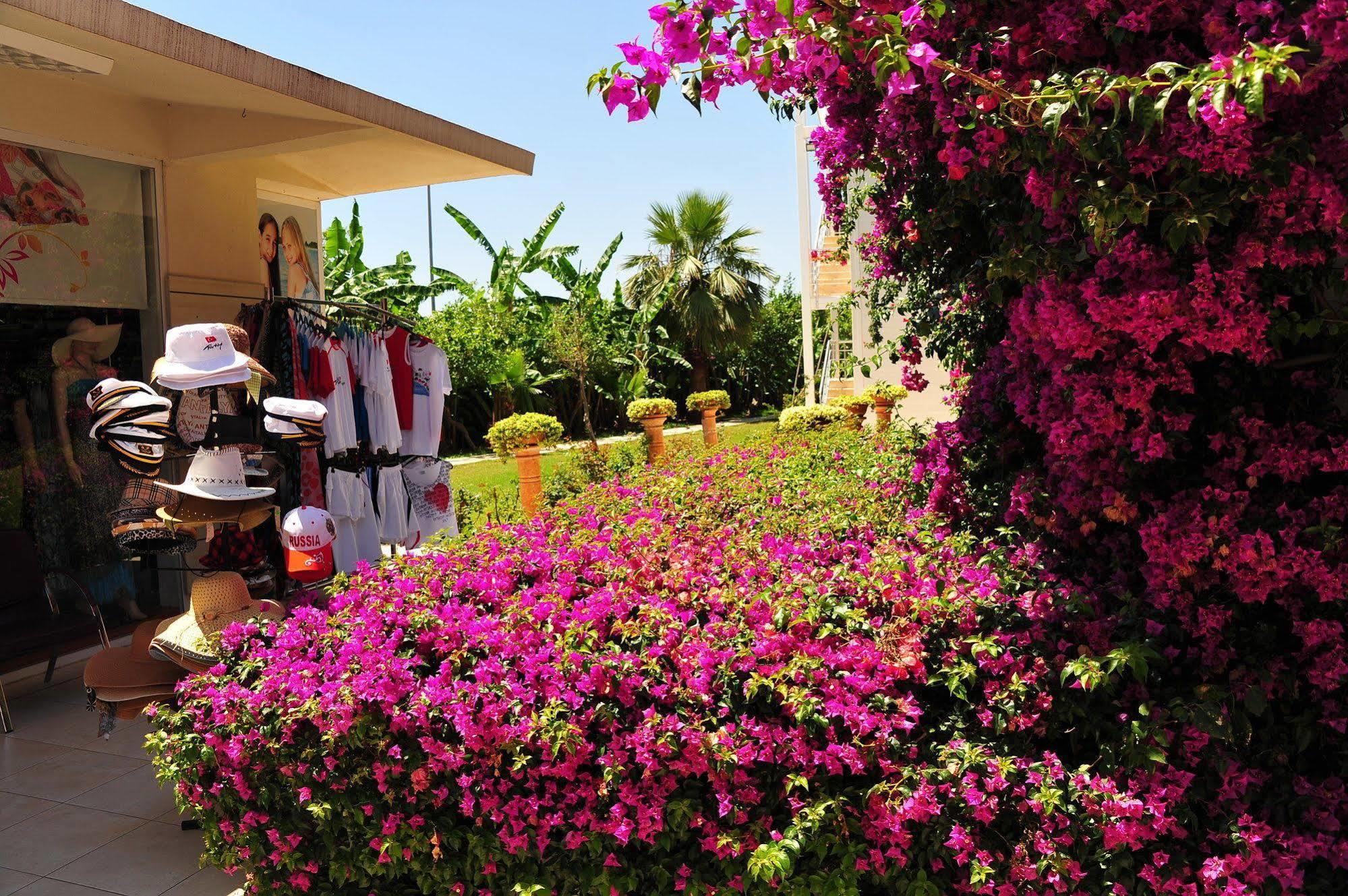 Daima Resort Hotel Kemer Eksteriør bilde